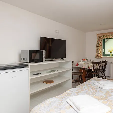 Appartement Zelena Hisa Pri Bjov à Bohinjska Bela Extérieur photo