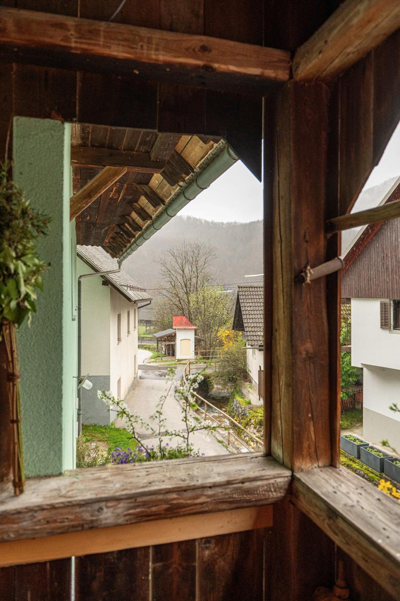 Appartement Zelena Hisa Pri Bjov *