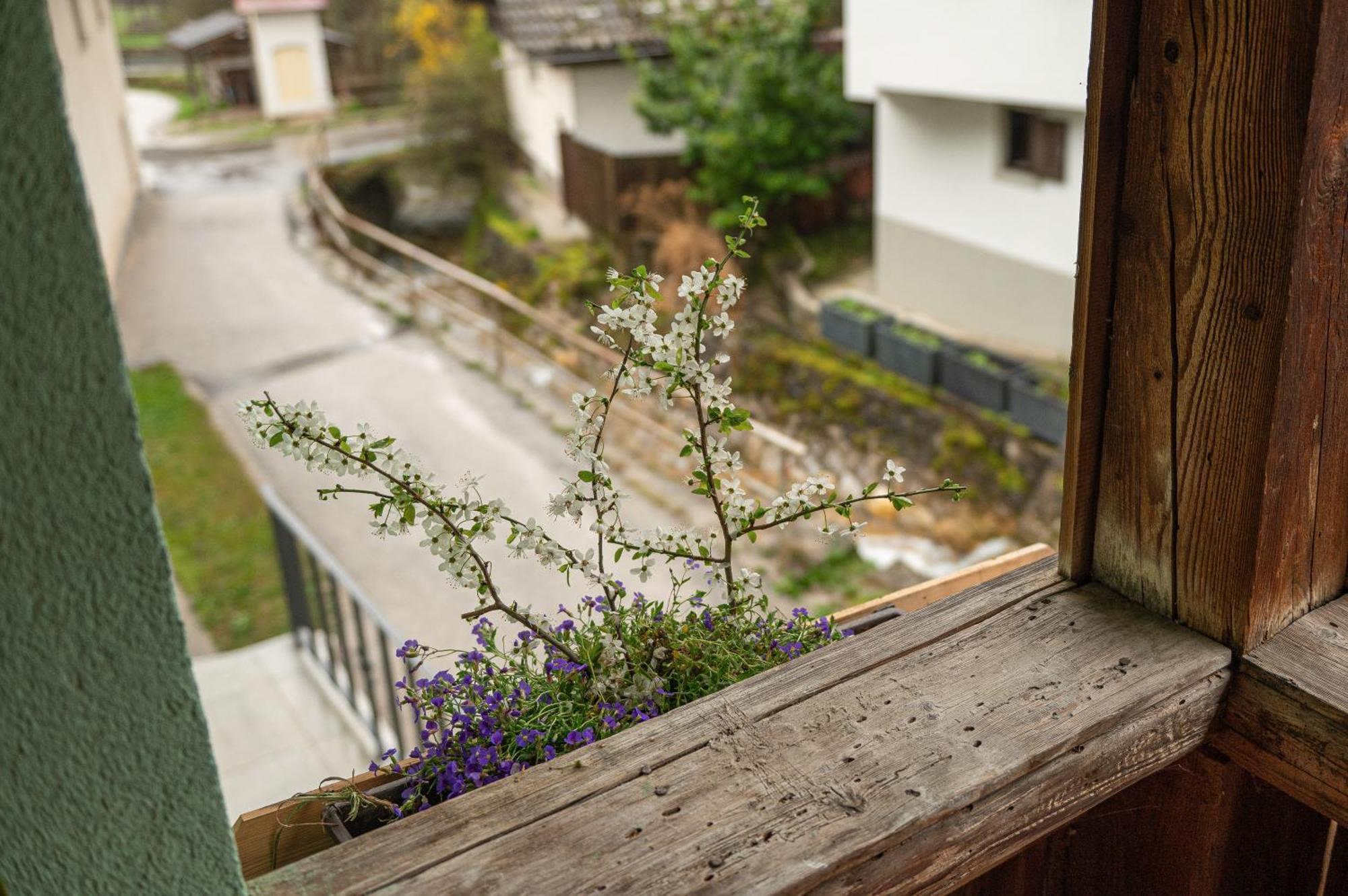 Appartement Zelena Hisa Pri Bjov *