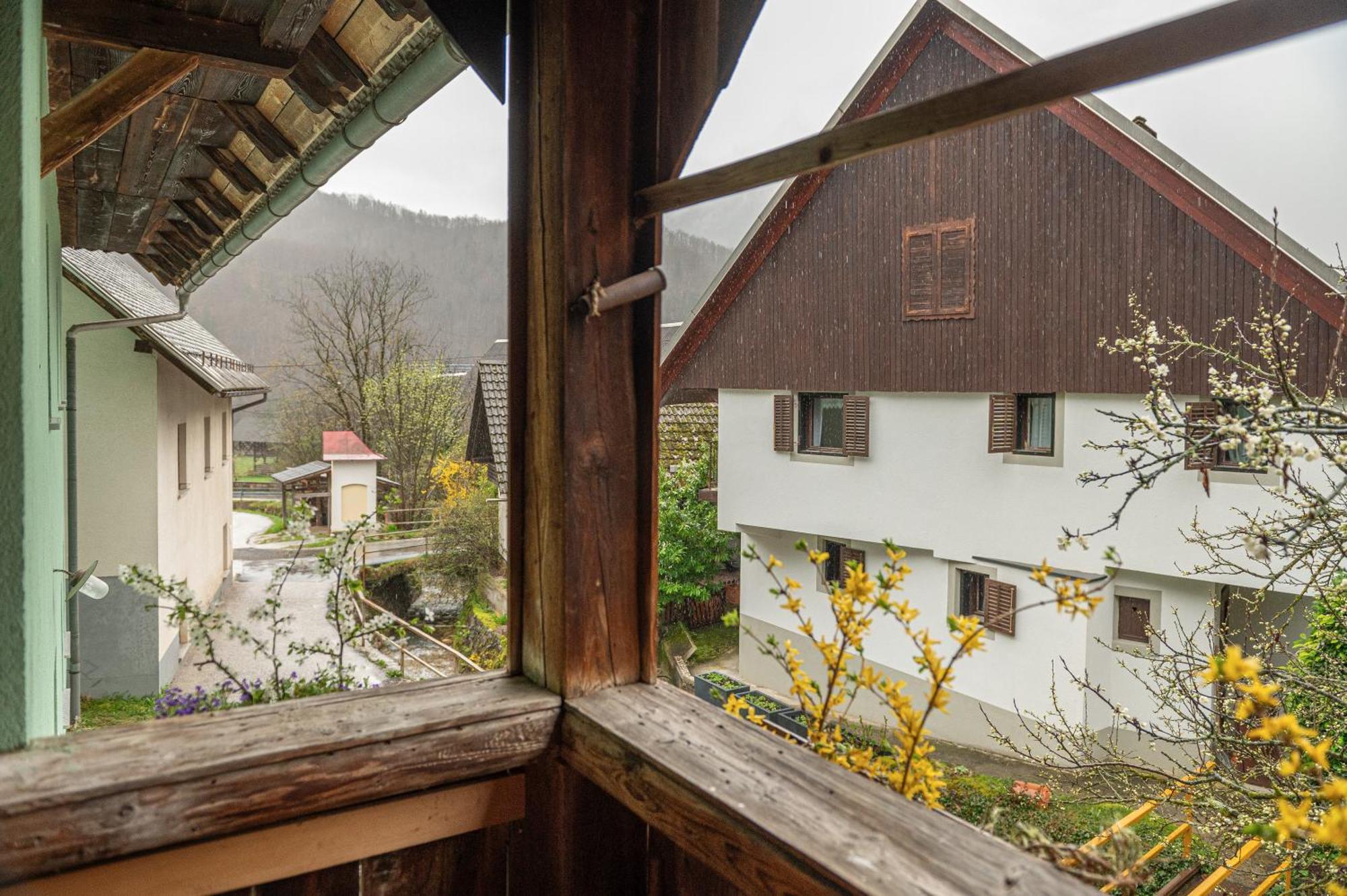 Appartement Zelena Hisa Pri Bjov *